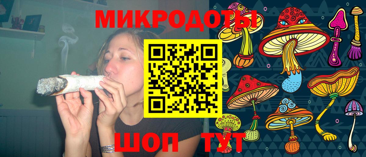 Псилоцибиновые грибы Psilocybe Советск
