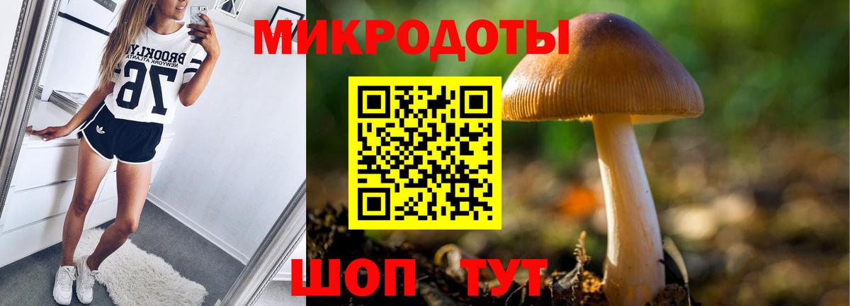 Советск  Псилоцибиновые грибы Psilocybe  Вход с VPN 